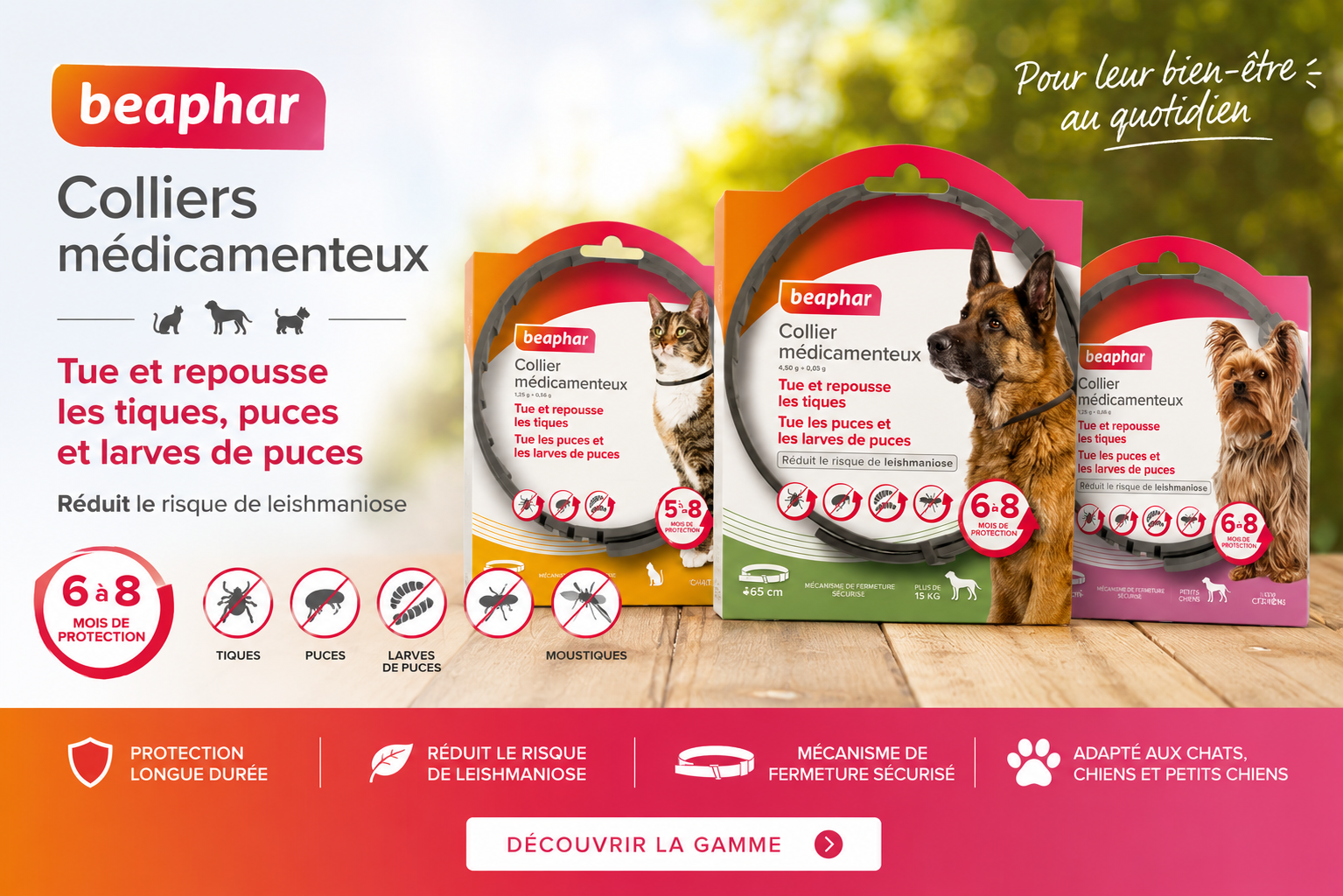 présentation des colliers médicamenteux